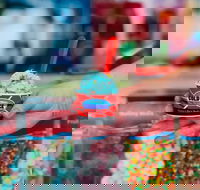 Cold Rock Ice Creamery - Springfield - Adwords Guide