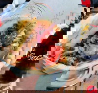 Gyradiko Bexley - Bexley - Adwords Guide