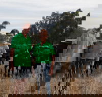 Milawa Organic Beef - Adwords Guide