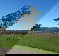 Nepenthe Wines - Adwords Guide