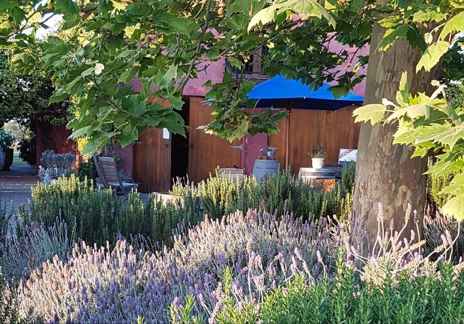 Belford NSW Adwords Guide