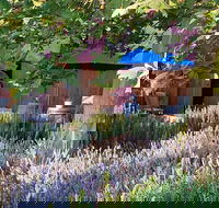 Macquariedale Organic Wines - Adwords Guide