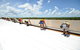 Prodigy Constructions & Roofing (NT) Pty Ltd - thumb 2
