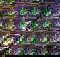 Jolly Berries - Adwords Guide