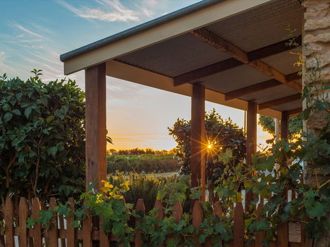 Café In The Vines - Adwords Guide 0