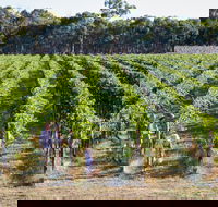 Weathercraft Wines - Adwords Guide