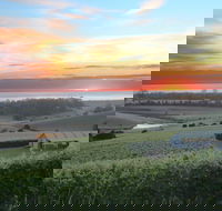 Cape Bernier Vineyard - Adwords Guide