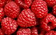Christmas Hills Raspberry Farm Cafe - thumb 2