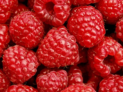 Christmas Hills Raspberry Farm Cafe - Adwords Guide 2