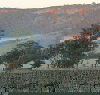 Wilksch Estate Wines - Adwords Guide