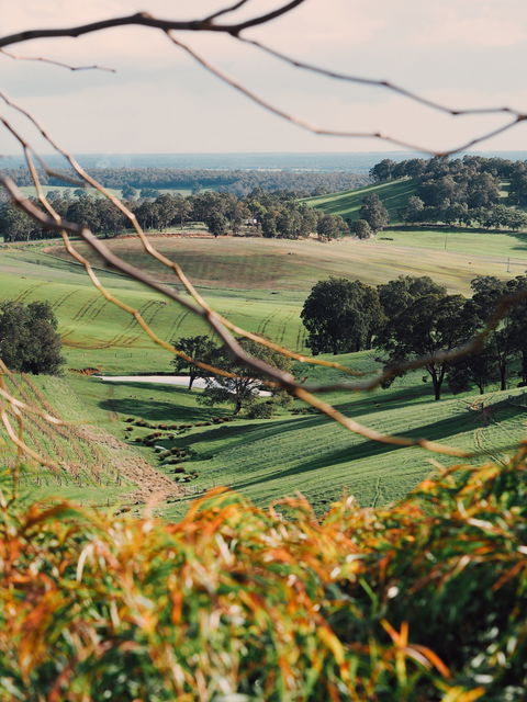 Green Door Winery Cellar Door - Adwords Guide 0