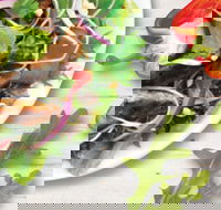 Sumo Salad - South Brisbane - Adwords Guide