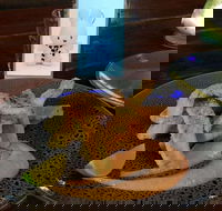 Cocina Mexican Grill and Cantina - Adwords Guide