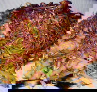 Silver Moon - Adwords Guide