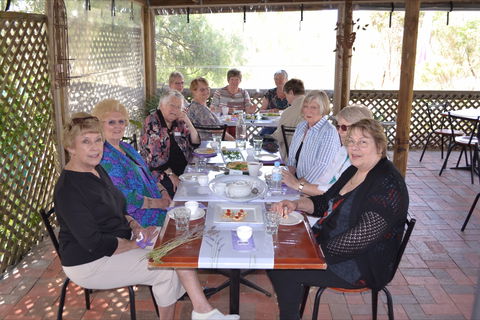 Lyndoch Lavender Farm Cafe - Adwords Guide 0