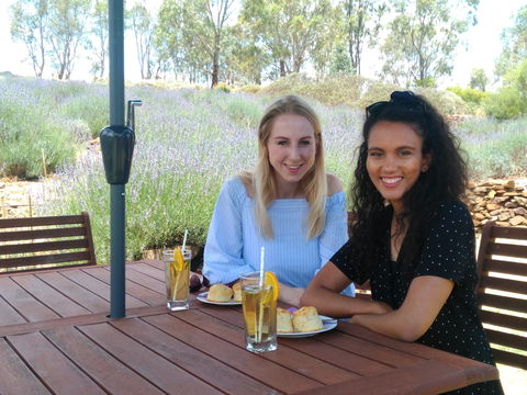 Lyndoch Lavender Farm Cafe - Adwords Guide 1