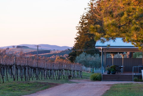 Rowlee Wines - Adwords Guide 0