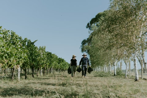 Rowlee Wines - Adwords Guide 1