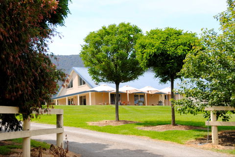 Badger Creek Blueberry Winery - Adwords Guide 0