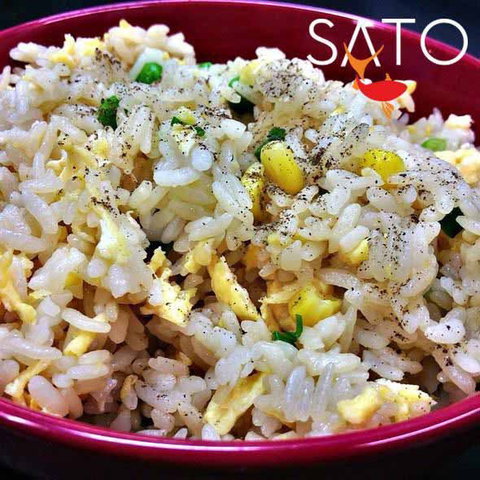 Sato Station - Adwords Guide 0