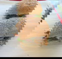 Taylor's Seafood - Adwords Guide