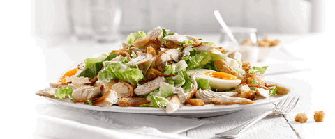 Sumo Salad - Success - Adwords Guide 0