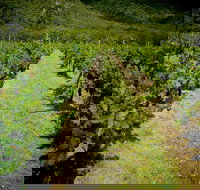 Gartelmann Wines - Adwords Guide