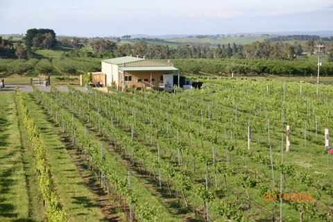 Dindima Wines - Adwords Guide 0