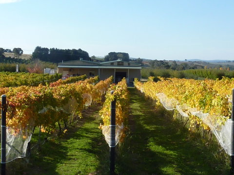 Dindima Wines - Adwords Guide 2