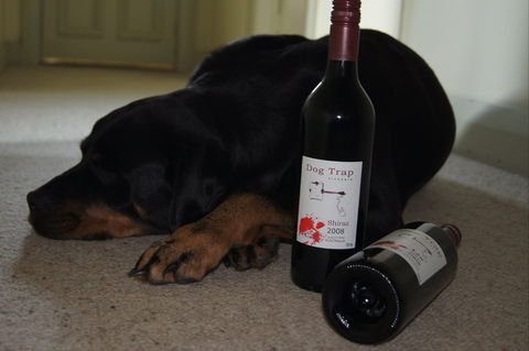 Dog Trap Vineyard - Adwords Guide 0