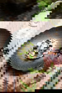 The Bridgewater Mill