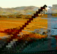 Seize the Day Wines - Adwords Guide