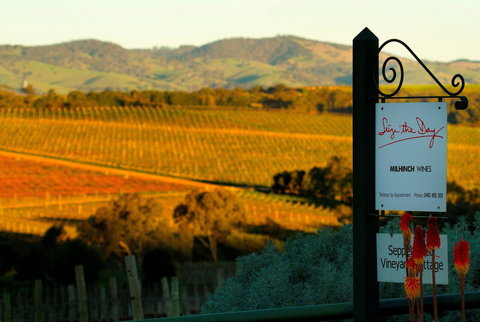 Seize The Day Wines - Adwords Guide 0