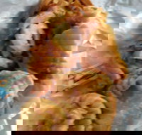 The Fish Inn - Adwords Guide