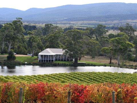 Milton Vineyard - Adwords Guide 0