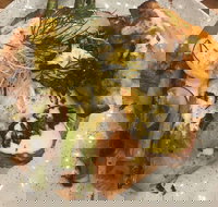 Toro Cafe - Adwords Guide