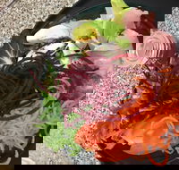 Cafe Rhubaba - Adwords Guide