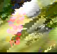 Raleigh Winery - Adwords Guide