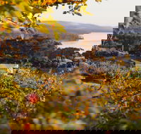 The Woodbridge Smokehouse - Adwords Guide