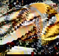 Cafe 3847 - Adwords Guide