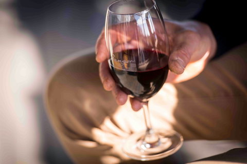 Bangor Vineyard Shed - Adwords Guide 2