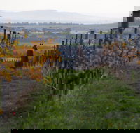 Barwon Ridge Wines - Adwords Guide