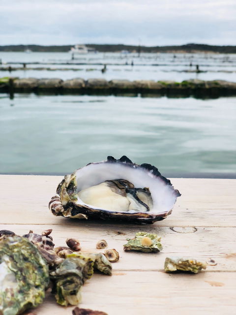 Oyster HQ - Adwords Guide 1