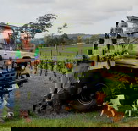 Brook Eden Vineyard - Adwords Guide