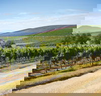 Jansz Tasmania - Adwords Guide