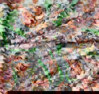 Al's Pizza Kitchen - Adwords Guide