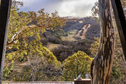 Pure Chalet Thredbo - Adwords Guide 35