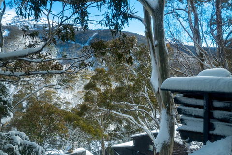 Pure Chalet Thredbo - Adwords Guide 30