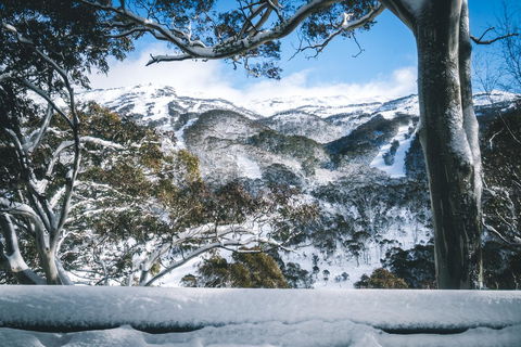 Pure Chalet Thredbo - Adwords Guide 2