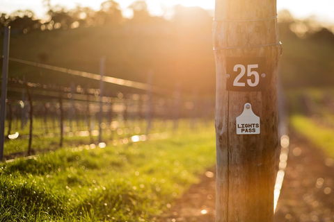 The Louise - Adwords Guide 44